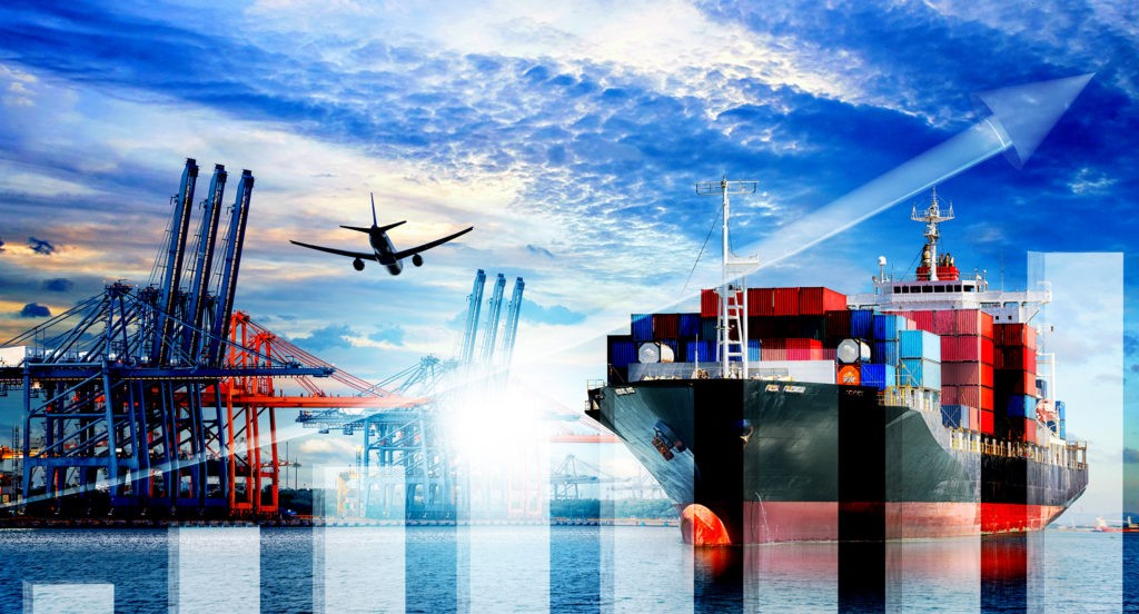 Logistics professional managing freight documentation